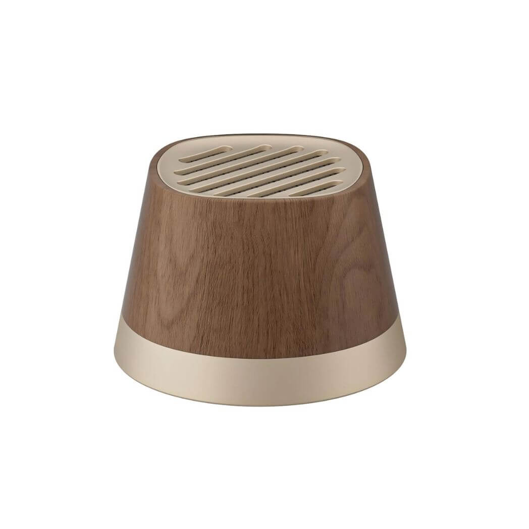 Ezvalo 4-in-1 Magnetic MagSafe Charger Speaker K13