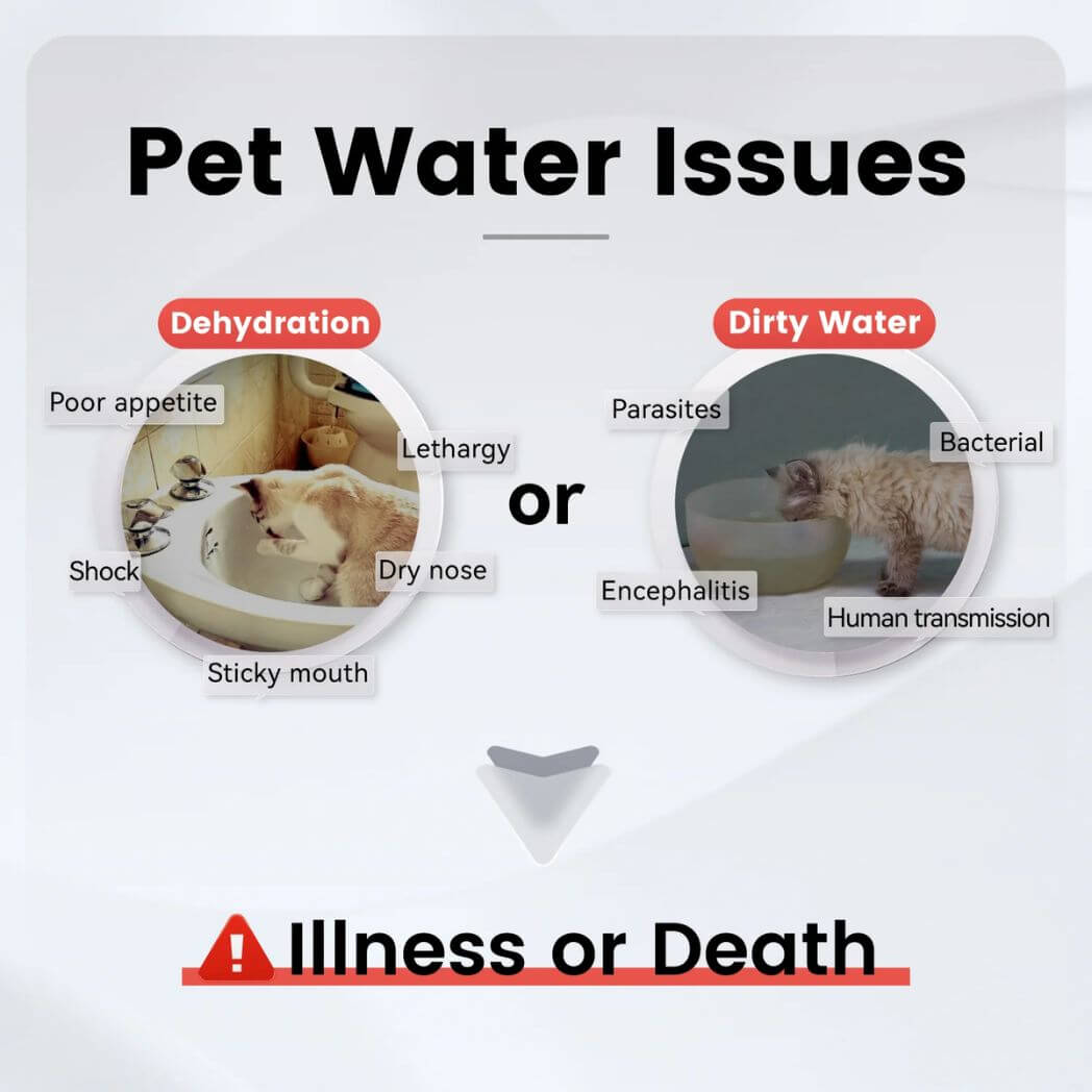 PAWAii Wireless Pet Water Fountain Pro for Cats & Dogs – Image 4