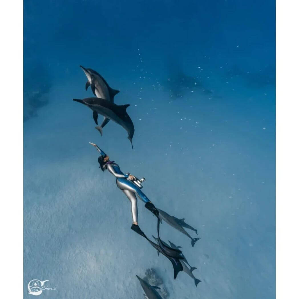 ZTDive JETDIVE Underwater Scooter – Image 6