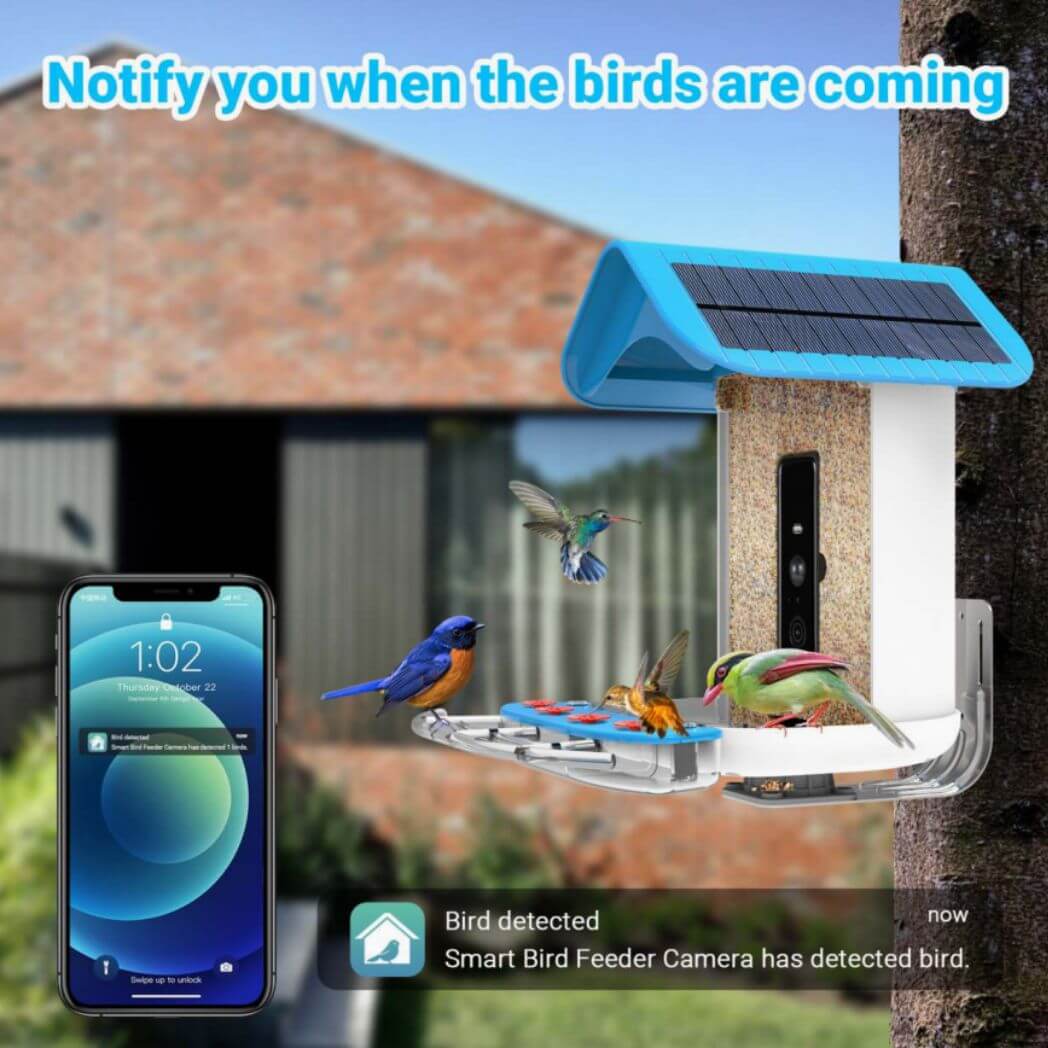 Free AI Bird Recognition Feeder with WiFi 2K Camera – Image 5