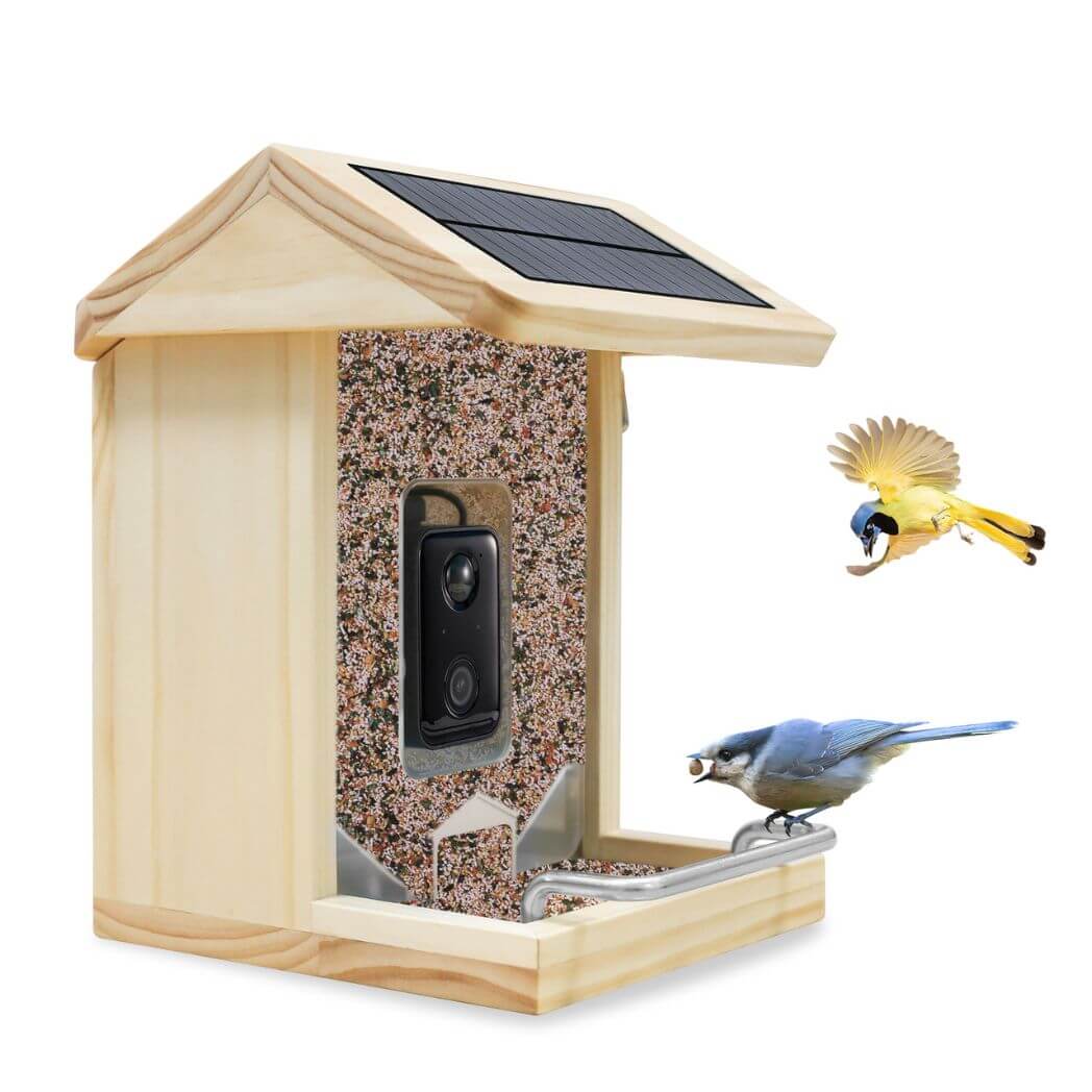 Free AI Bird Recognition Feeder with WiFi 2K Camera – Image 2