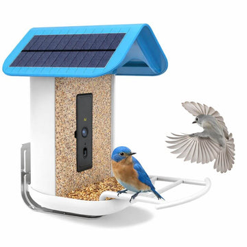 Free AI Bird Recognition Feeder with WiFi 2K Camera