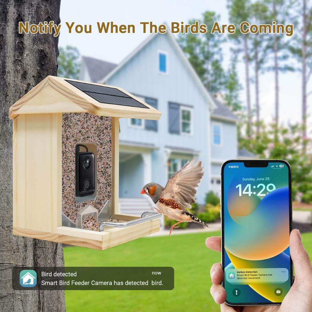Free AI Bird Recognition Feeder with WiFi 2K Camera – Image 4